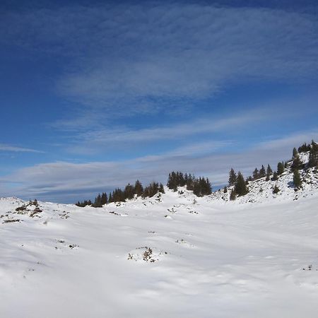Le Chalet Theys 외부 사진
