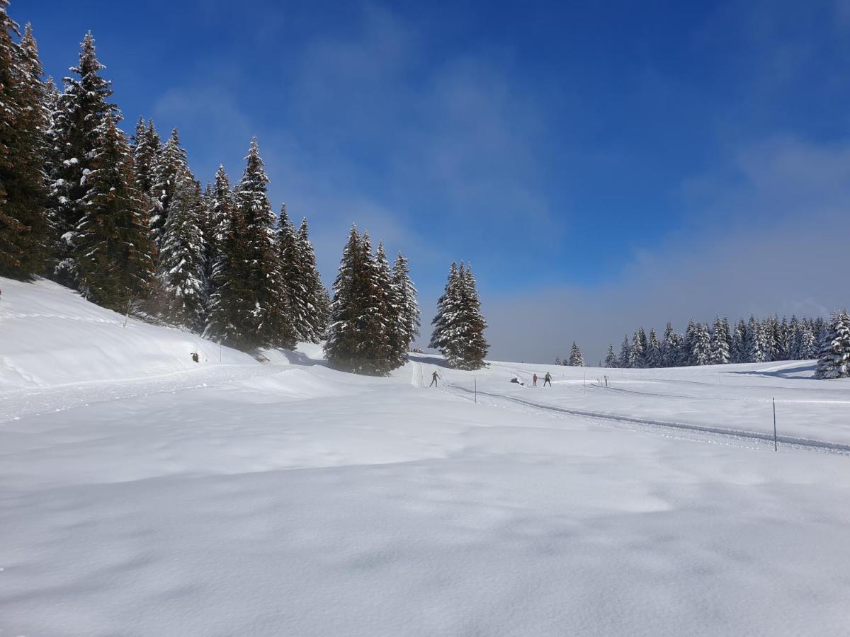 Le Chalet Theys 외부 사진